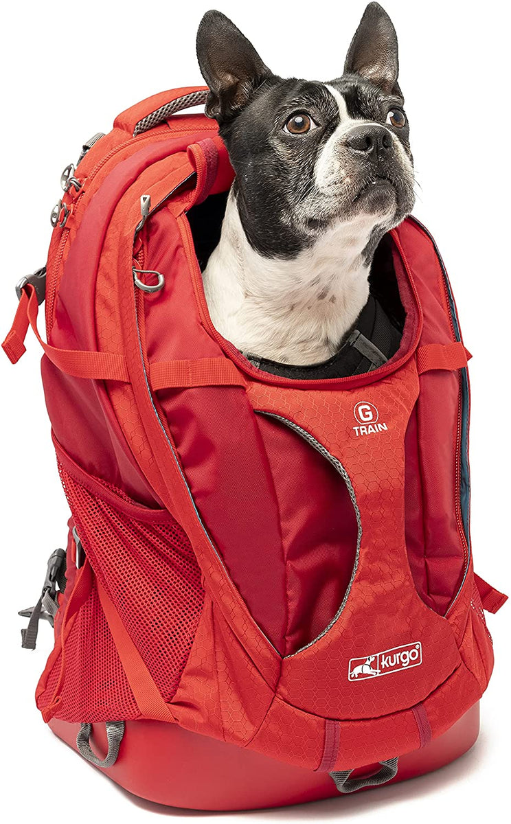 Kurgo Dog Training Treat Bag