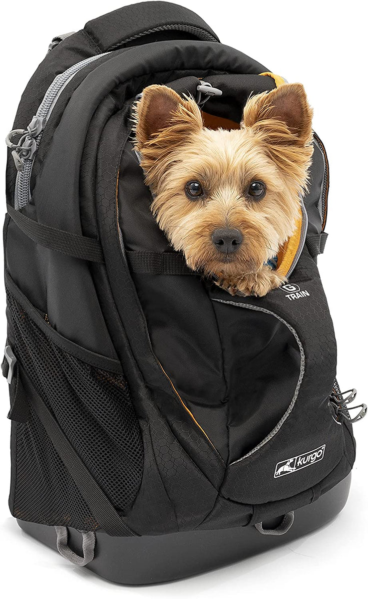 Kurgo dog shop carrier backpack