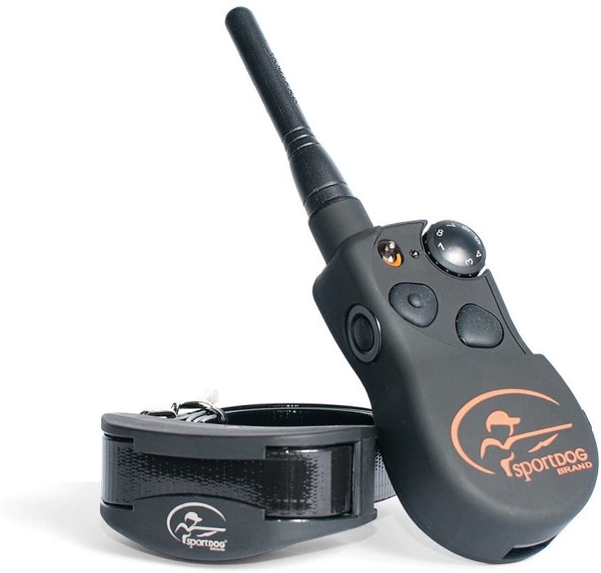 Sportdog brand shock outlet collar