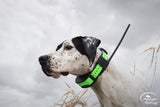 SportDOG Brand® TEK SERIES 1.5 GPS + E-COLLAR - TEK-V1.5LT-C