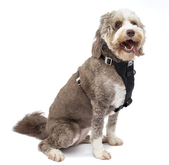 Kurgo Tru-Fit(TM) Crash Tested Dog Harness, Black, Medium Media 1 of 7