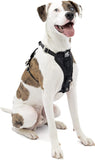 Kurgo Tru-Fit(TM) Crash Tested Dog Harness, Black, Medium Media 1 of 7