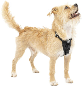 Kurgo Tru-Fit(TM) Crash Tested Dog Harness, Black, Small Media 1 of 8