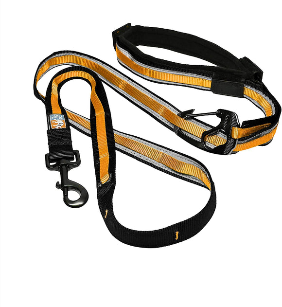 Kurgo 6-in-1 Hands Free Quantum™ Dog Leash, Running Dog Leash, Adjustable Dog Waist Running Belt, Dog Leash for Walking, Running, Hiking, 6 Foot Leash, Black/Orange Media 1 of 6