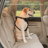 Kurgo Direct To seat belt Tether for Dogs, Universal Car seat belt for Pets, Adjustable Length Dog Safety Belt, quick & Easy Installation, Carabiner clip, Compatible with Any Pet Harness (Orange) Media 4 of 5