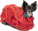 Kurgo Dog Carrier Backpack for Small Dogs & Cats | G-Train Pet Backpack Carrier | Airline Approved | Cat Backpack | Small Dog Backpack for Hiking & Travel | Lightweight | Waterproof Bottom (Red) Media 7 of 8