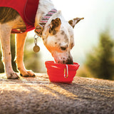 Kurgo Collaps-a-Bowl(TM) Collapsible and Portable Travel Dog Bowl for Food and Water, Red Media 5 of 5