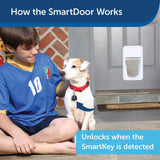 PetSafe Electronic SmartDoor, Automatic Dog and Cat Door, Large, Collar Activated with SmartKey - PPA11-10709 2