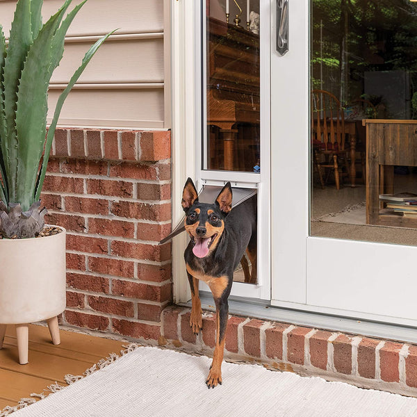 Dog door that fits in sliding glass clearance door