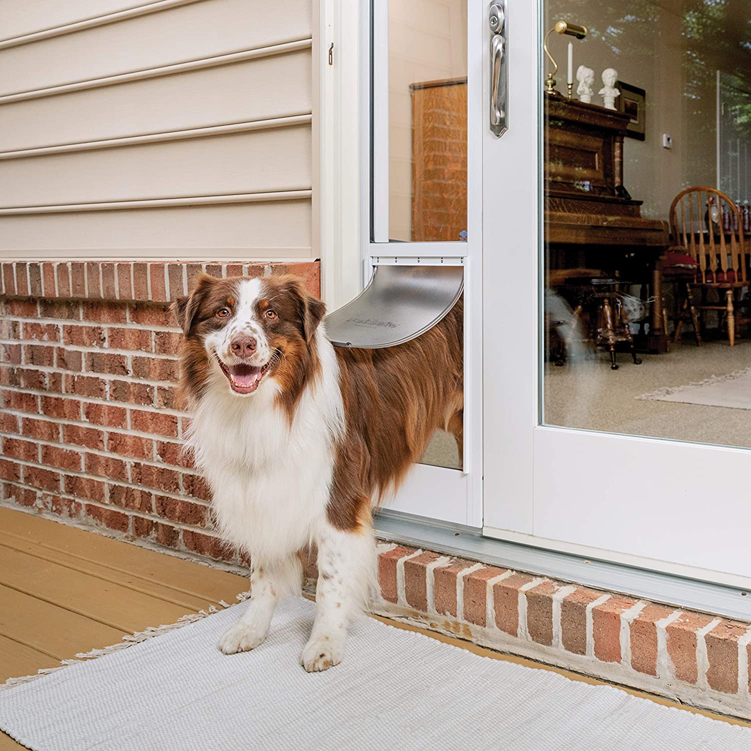 Large microchip hot sale dog flap