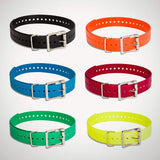 SportDOG Brand SAC30-13317 1" Collar Strap, Green media 4 of 4