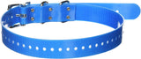 SportDOG 1" Collar Strap, Blue - SAC30-13374 - Shop Blue Dog Canada